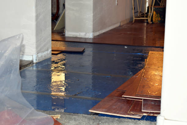 Professional Burst Pipe Cleanup technician working in Cuney, TX