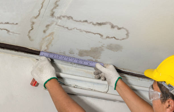 Reliable Burst Pipe Cleanup contractor in Cuney, TX by Water Damage Irwin